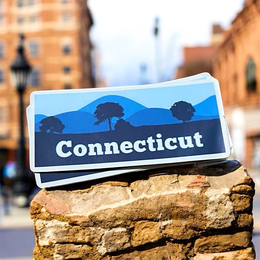 Connecticut Matte Finish PVC Removable Waterproof Decor Accent Sticker